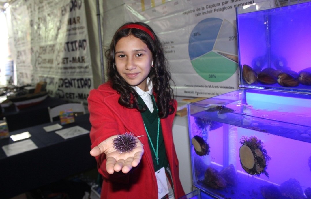 Participará @SepescaBC en "Expomar 2025" que organiza Asipona. Diversas instituciones y asociaciones civiles se integrarán a la muestra pesquera, acuícola y marítima que se realizará del 1 al 3 de junio en la Ventana al Mar, en Ensenada. 
facebook.com/10006390713132…