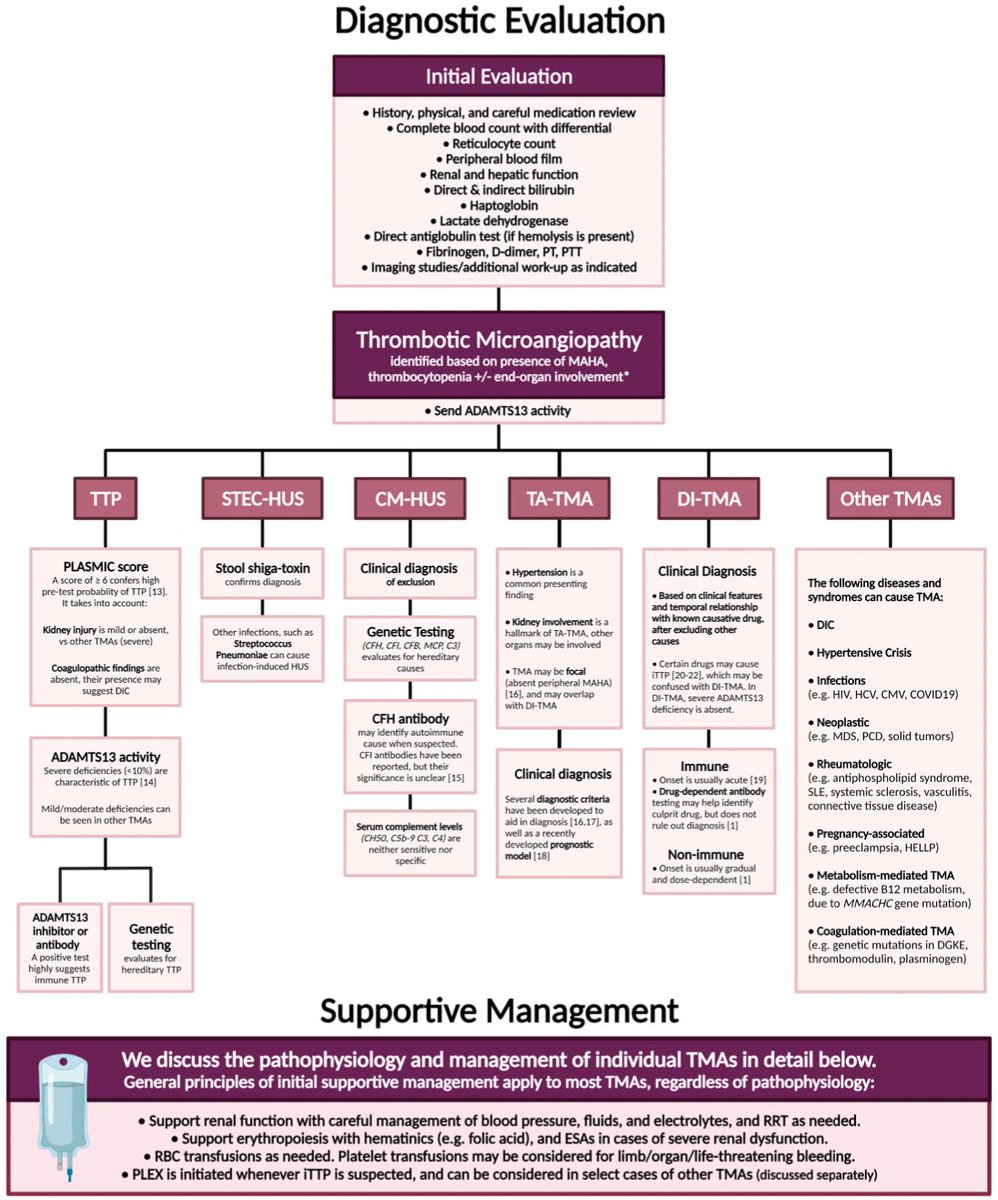 🩸Microangiopatía trombótica:

⬆️LDH, ⬆️ B. Indirecta, ⬇️Haptoglobina, ⬆️Retis y prueba de antiglobulina directa (NEG) + trombocitopenia + evidencia de algún órgano con isquemia.

🔘Res Pract Thromb Haemost. 2022;6:e12708.
#Hematología #Medicinainterna #ENARM