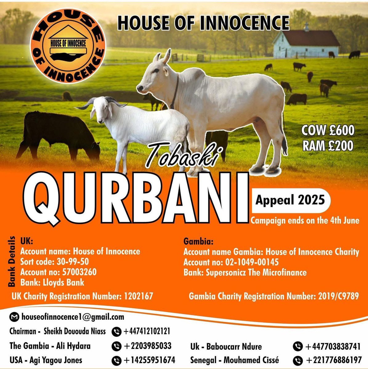 karara_hydara's tweet photo. Qurbani Appeal 2025
As Eid Ul Adha nears, many families canโt afford Qurbani. Letโs share the joy and ensure no one is left behind this Tobaski.
๐๏ธ Donate today โ give dignity, spread blessings.
#QurbaniAppeal2025 #HouseOfInnocenceCharity #HelpTheNeedy #Tobaski https://t.co/fBoNA48mGL