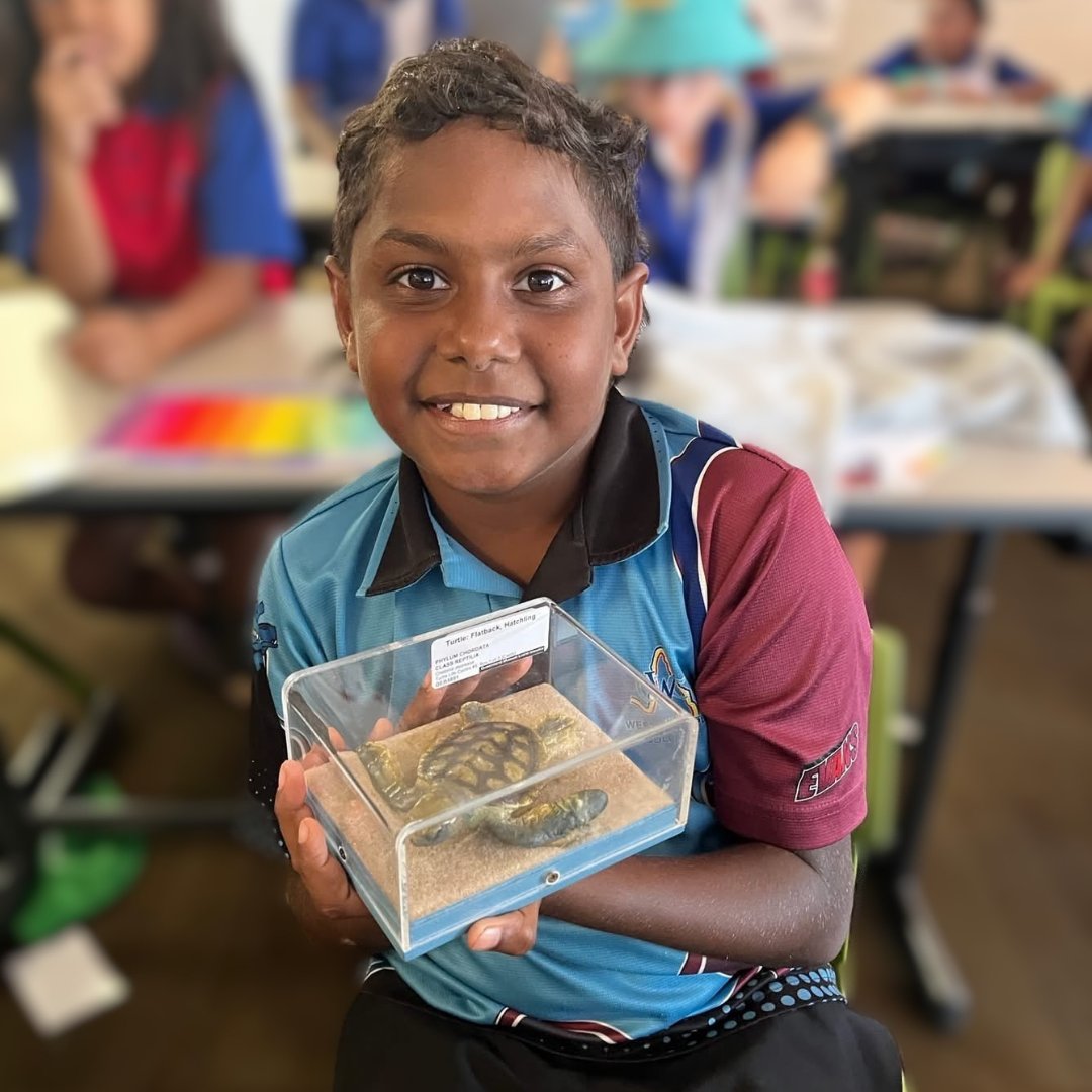 Queensland Museum Kurilpa tweet media