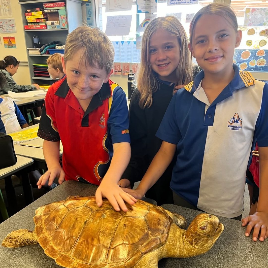 Queensland Museum Kurilpa tweet media