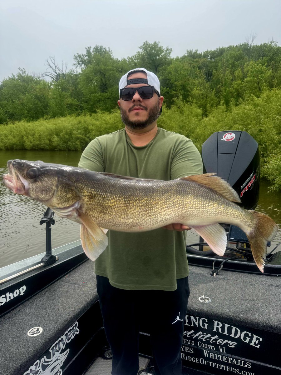 Mattylo_952 tweet media