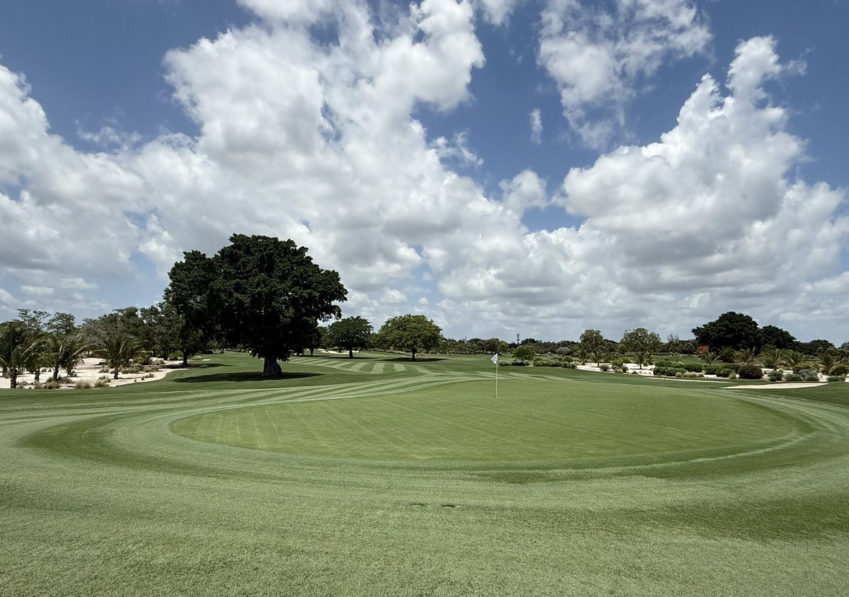 Matt Dungan tweet media