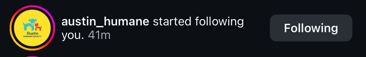 when the animal shelter follows you back… big flex 😮‍💨😮‍💨😮‍💨