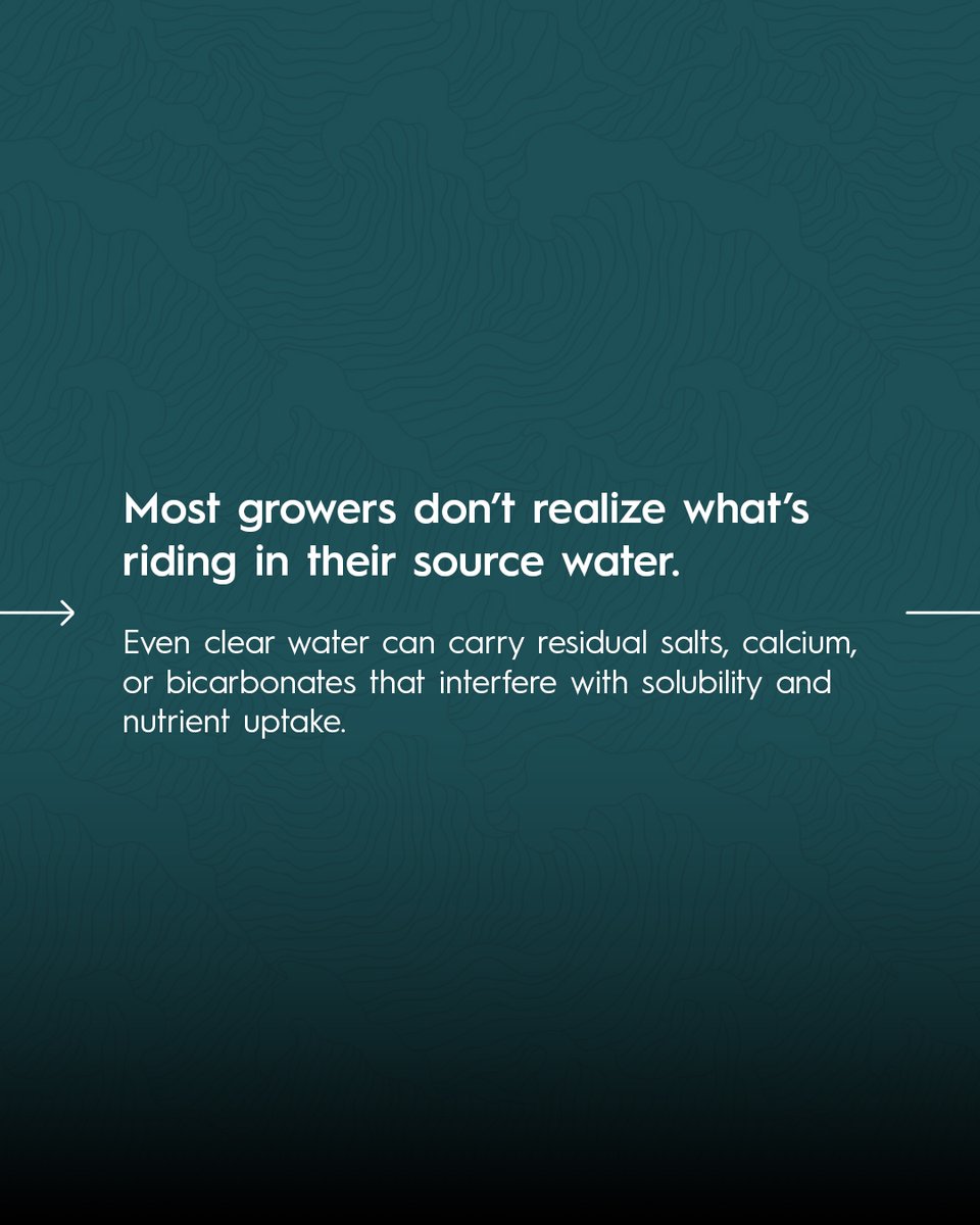 Drip Hydro tweet media