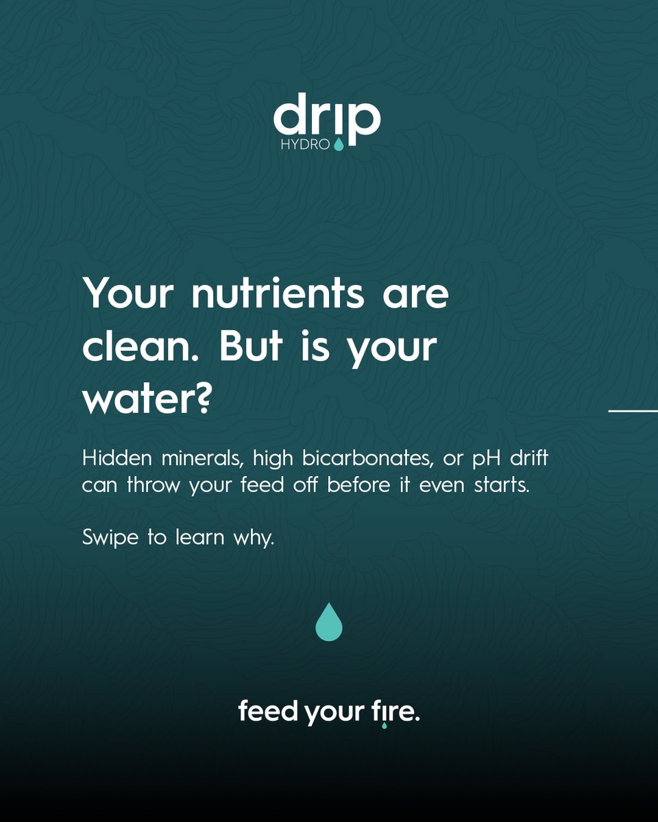 Drip Hydro tweet media