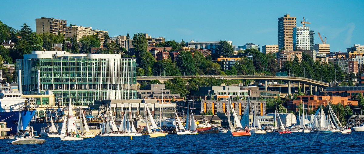jcleon's tweet photo. There were at least 100 boats on Seattle's Lake Union for Duck Dodge last night.  Check out the great photos by Dennis Pearce.
https://t.co/k1i6Qud5yp https://t.co/RPhSIiYVJj