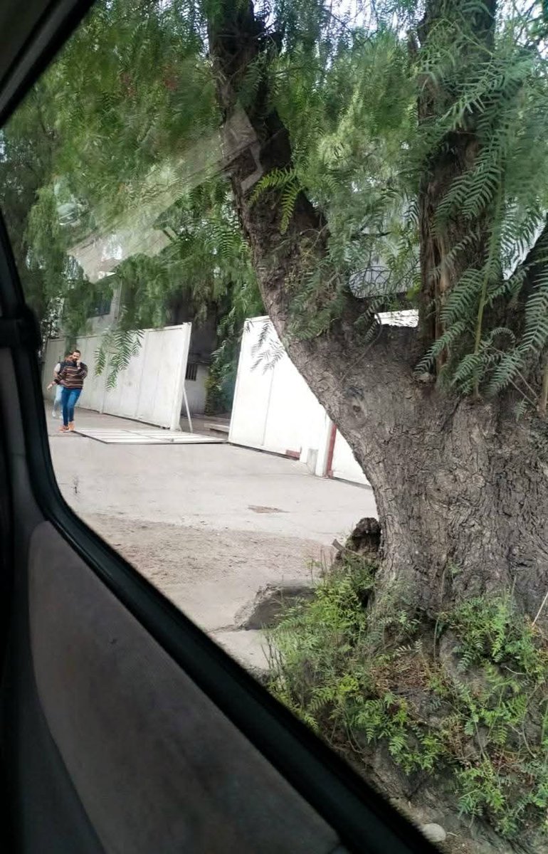 PuntoMedioEdo's tweet photo. 🚨🤳🏻⚠️ Piden apoyo de la policía de Cuautitlán #Izcalli en el Parque Industrial Cuamatla.

Reportan la presencia de varios sujetos, que intentan ingresar a la fuerza en bodegas.

🤳🏻 Más información ⬇️
https://t.co/sPfzb2I3WB https://t.co/U7unSPvz1x