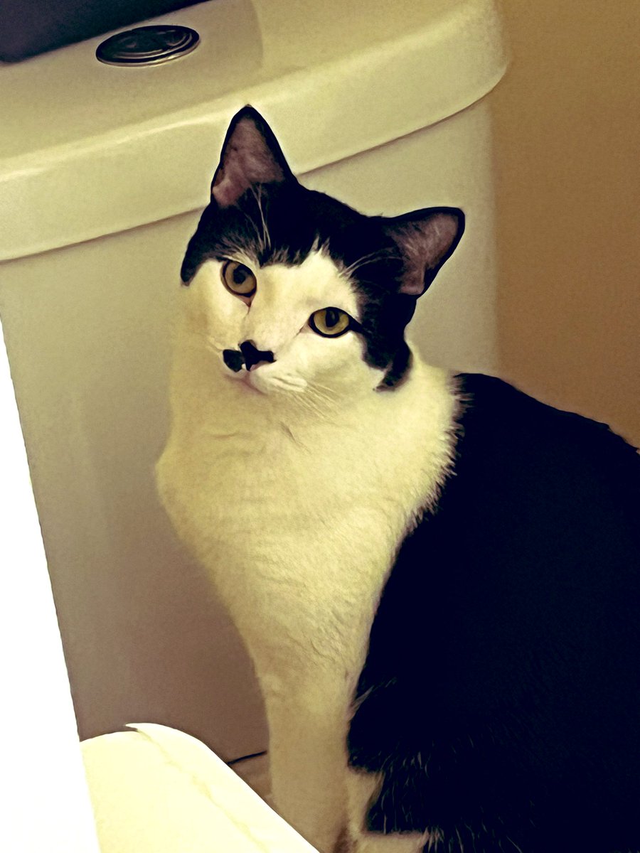 Luke Worrell (@modeleagle20) on Twitter photo 