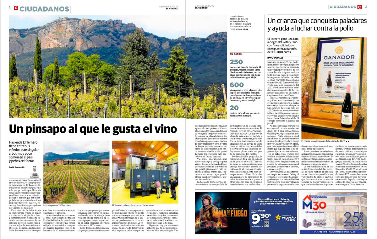 Abies_gabriel's tweet photo. En el corazón de la Rioja Alta, a los pies de los montes Obarenes, encontramos una nueva localización de pinsapos, en el entorno de un antiguo hospital de peregrinos del Camino de Santiago que ahora alberga una bodega. Y les gusta el vino, según el diario El Correo de Bilbao. https://t.co/SHdpcLRxAT