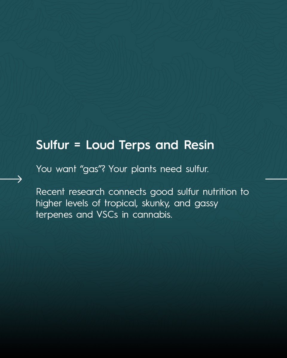 Drip Hydro tweet media