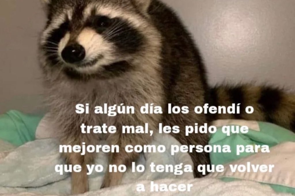 piña sin pizza (@skereunpesado) on Twitter photo 