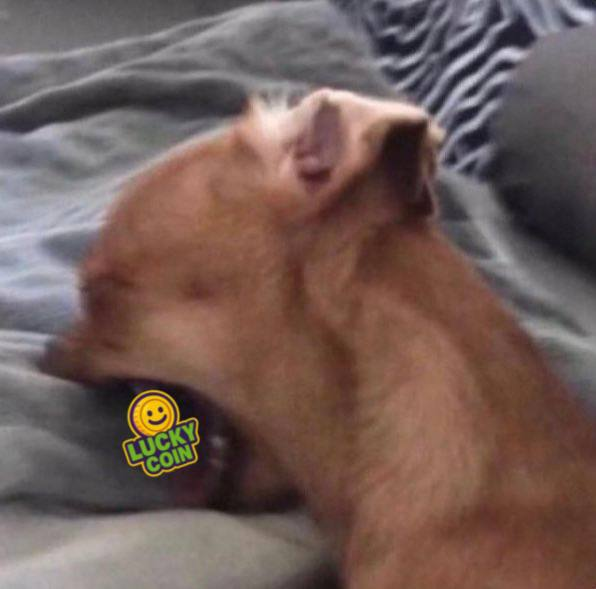 GhostInSchema's tweet image. Grabbing $LUCKYCOIN in portfolio on dip