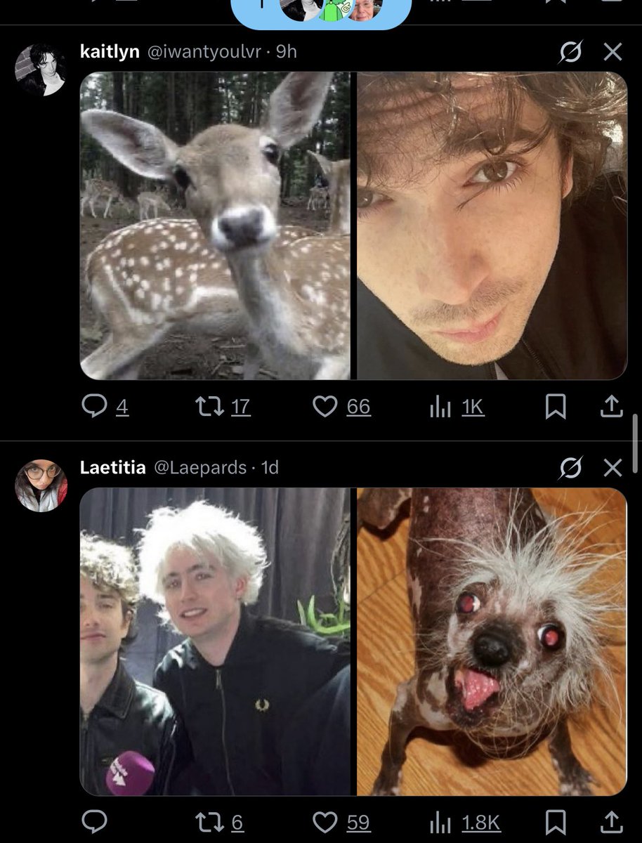 i love when my timeline timeline’s