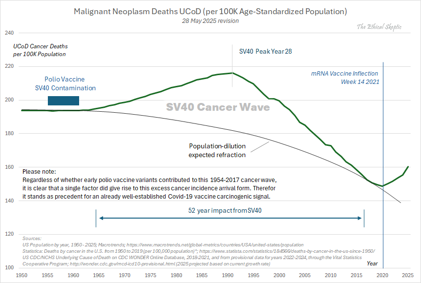 The famous SV40 Cancer Wave Precedent chart, updated as of May 2025.

We could easily see 50 years of death forthcoming from this quod fieri mistake by our celebrated "best and brightest."

Gambling our lives on their self-assessment of club and peer infallibility, we may well