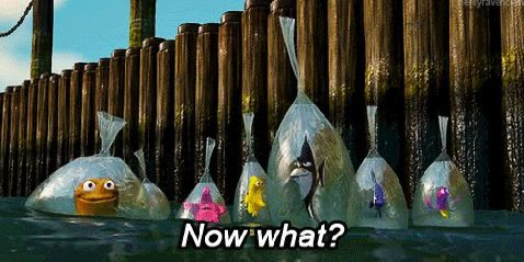 sbppba's tweet image. Phillies game is postponed