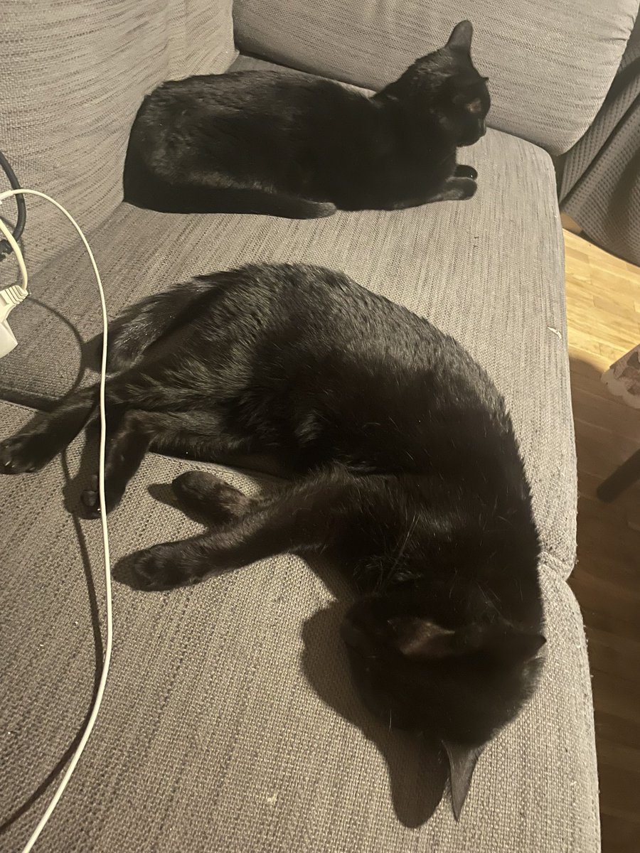 ¿Pero cómo apagar el ventilador del salon?  🥹
Crowdfunding 😂