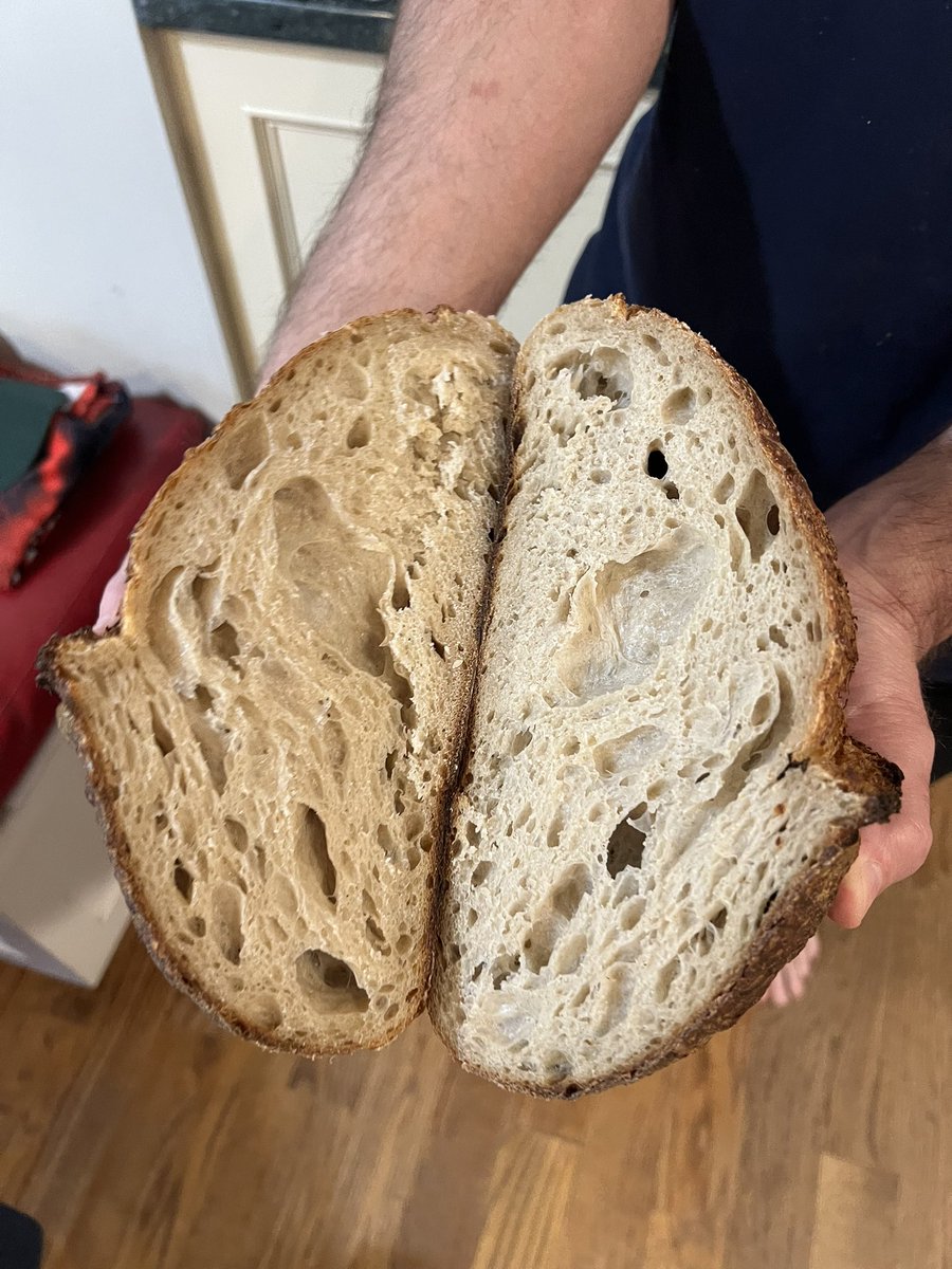 meyer_db's tweet image. Thanks to @jimlaheySSB and whoever told me to change my feeding ratio to 1:5:5 from 1:1:1 I have gotten my best loaves ever