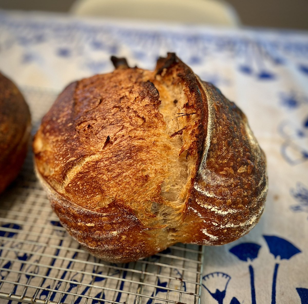 meyer_db's tweet image. Thanks to @jimlaheySSB and whoever told me to change my feeding ratio to 1:5:5 from 1:1:1 I have gotten my best loaves ever