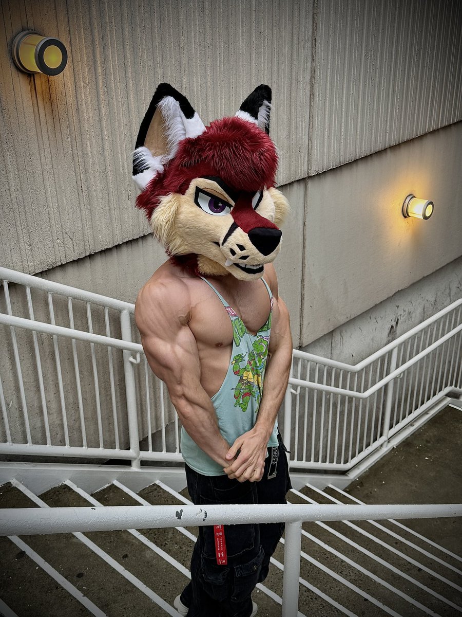 BookerFoxeh's tweet image. Oh no! My arms look so small 🥺. You totalllyyy shouldn’t give me a compliment on them 😏