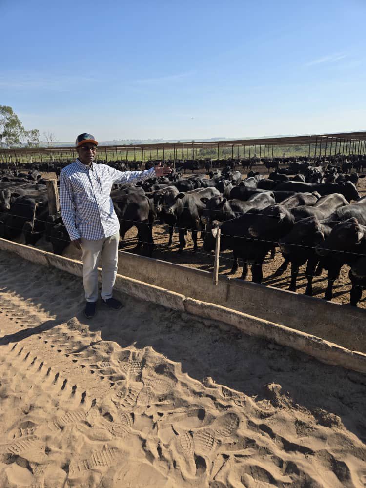 Nigfmld's tweet photo. The Honourable Minister of Livestock Development, Idi Mukhtar Maiha had the rare opportunity to undertake a guided tour of some Brazilian livestock farms to see firsthand, feel the pulse of the industry, meet top players, and understand their .... https://t.co/o9wThSV0Gk https://t.co/ADv7AJavBw