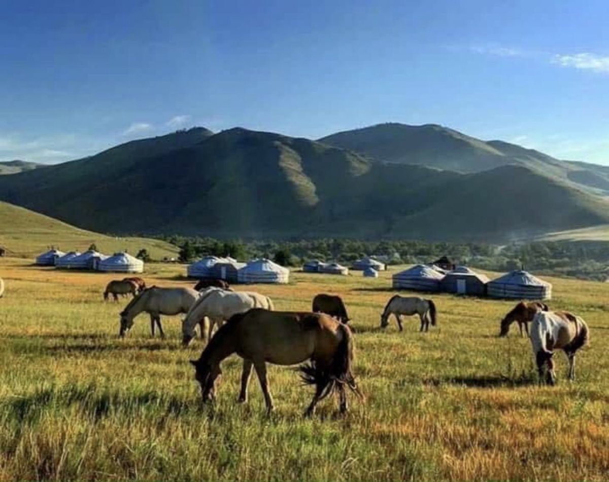 Сайхан өглөөний мэнд ээ хө