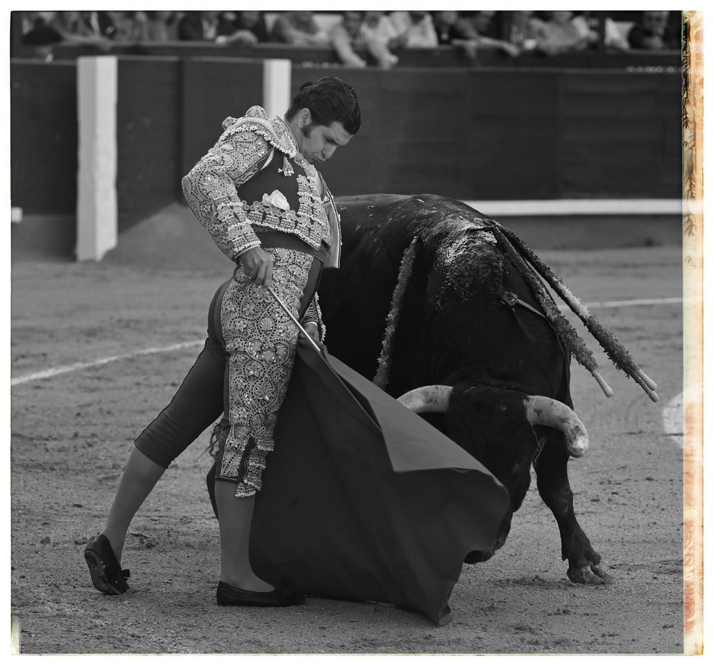 Morante y su trinchera en tres tiempos.
©️ Javier Arroyo / <a href="/aplausos/">Aplausos</a> 
#SanIsidro2025 #LasVentas
