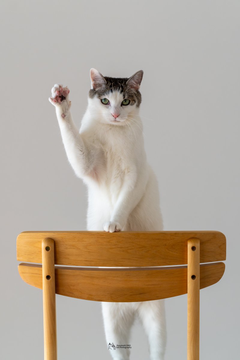 私が悪いことをしました