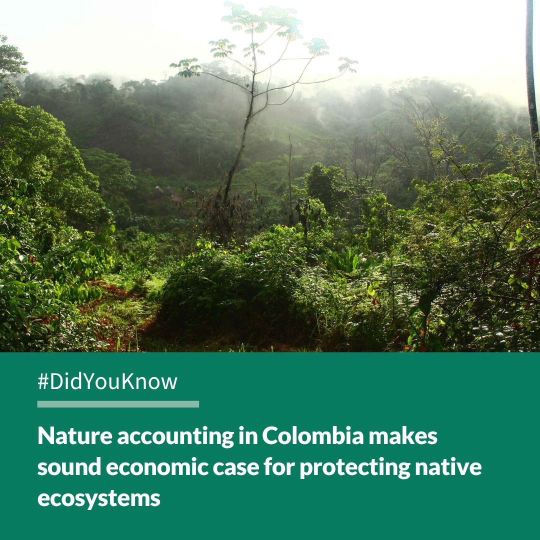 #DidYouKnow the Sinú River enables hydropower for northwestern Colombia? Yet, its benefits are under threat from erosion.

An innovative "natural capital account" calculates the value of ecosystems in the Upper Sinú Basin to key economic sectors: stanford.io/3Yg8x63