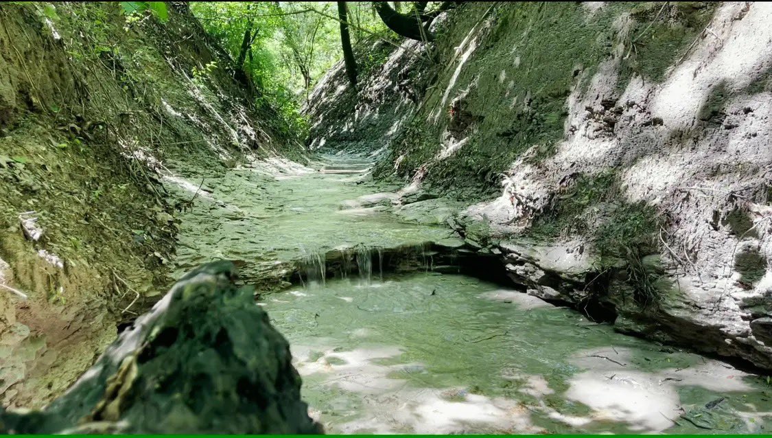 Grayson County Land For Sale near Sherman, Texas
15.42 Acres $425,000
16.06 Acres $475,000
18.77 Acres $495,000
Scenic Views
Pipe Entrances
Paved Road Frontage
Water and Electric Available
No Restrictions
Rock Bottom Creek
Call/Text: 979-422-3163
We offer 3% to Buyers Agents