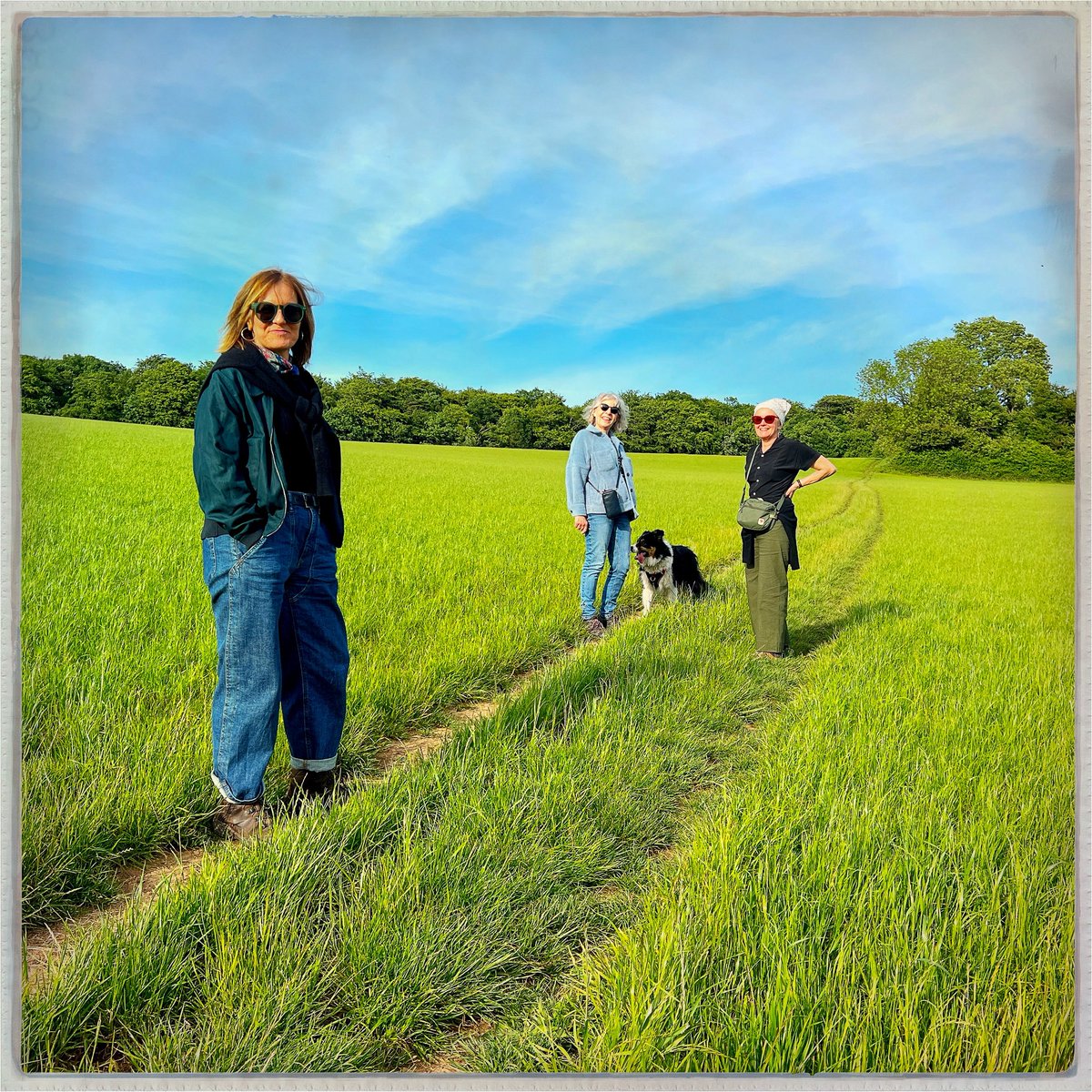 Day 148/365 #photoaday
Looks like we’ve got the album cover sorted.