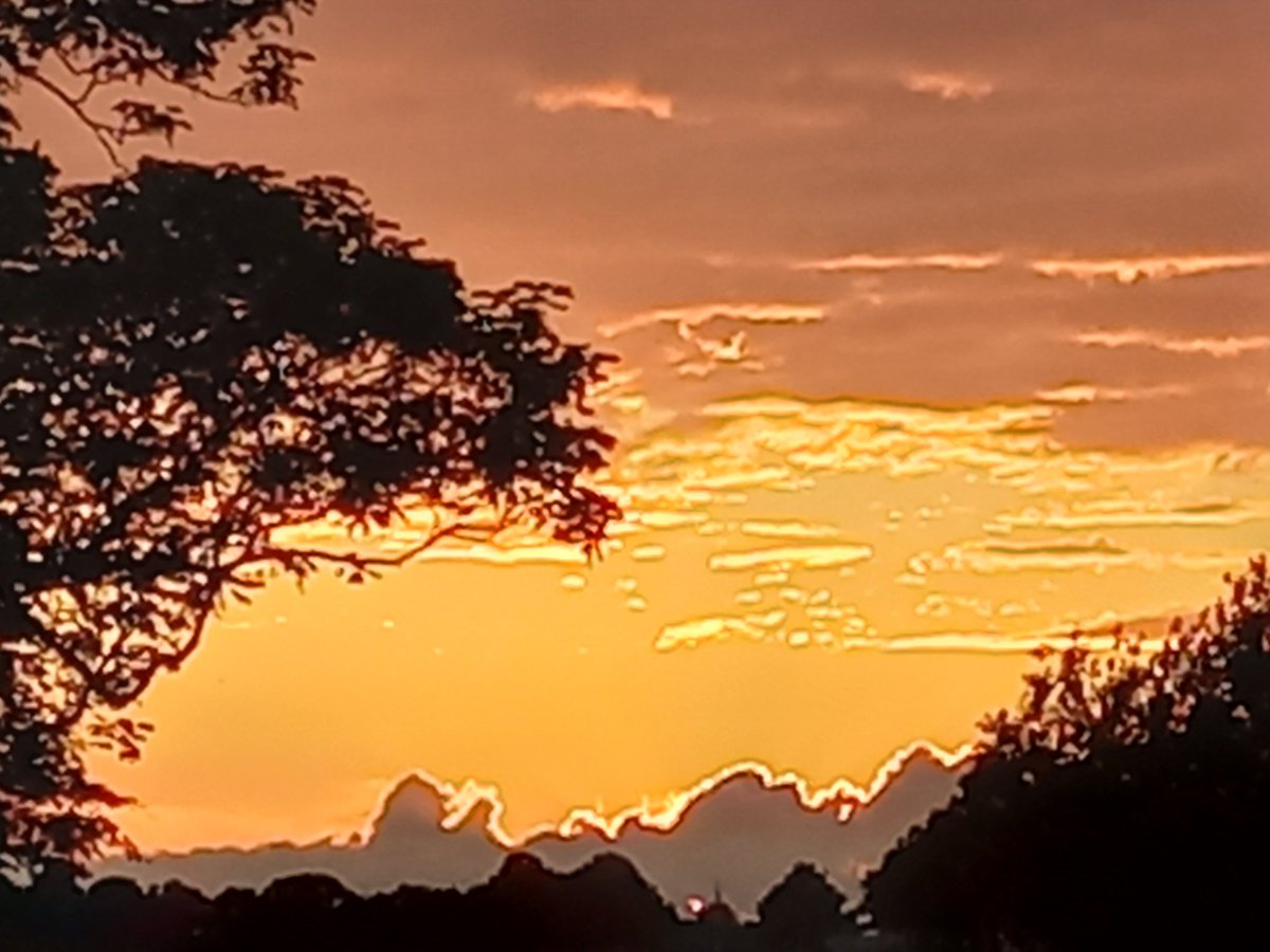 Vanavond gaf de ondergaande zon de wolken een gouden rand.
Iedereen een goede nacht gewenst en lekker slapen.