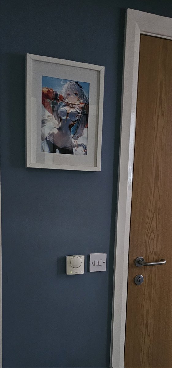 visited my parents today to find my mother has framed my print of kiana kaslana so now there's an anime girl in their hallway