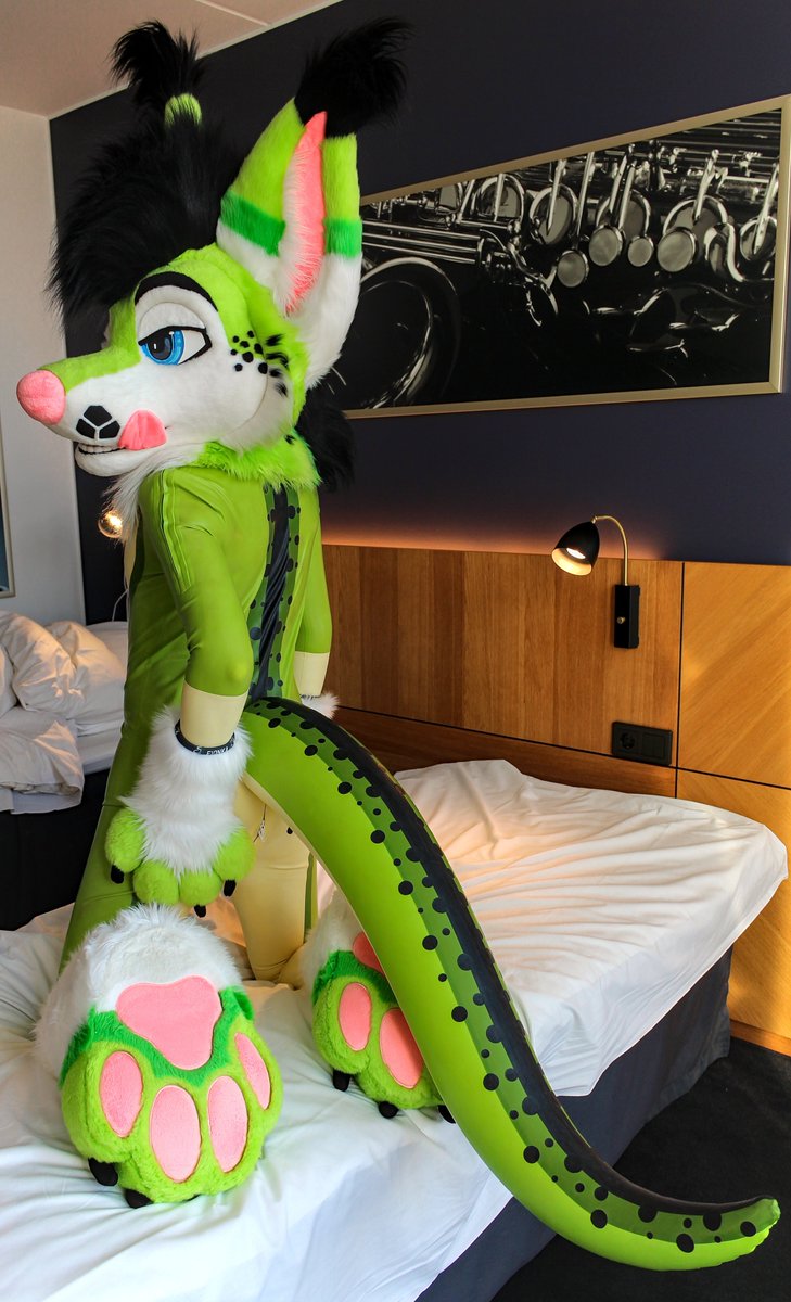 fluffy tail 🆚 shiny tail