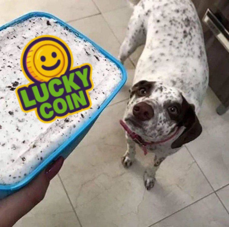 GhostInSchema's tweet image. Everyone need $LUCKYCOIN