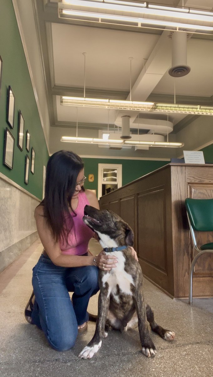 Hey Lancaster! Mitch and I are working late and this dog was in our alley stealing hearts. ♥️♥️♥️ Anybody recognize this good boy? 🐶🐕🐾