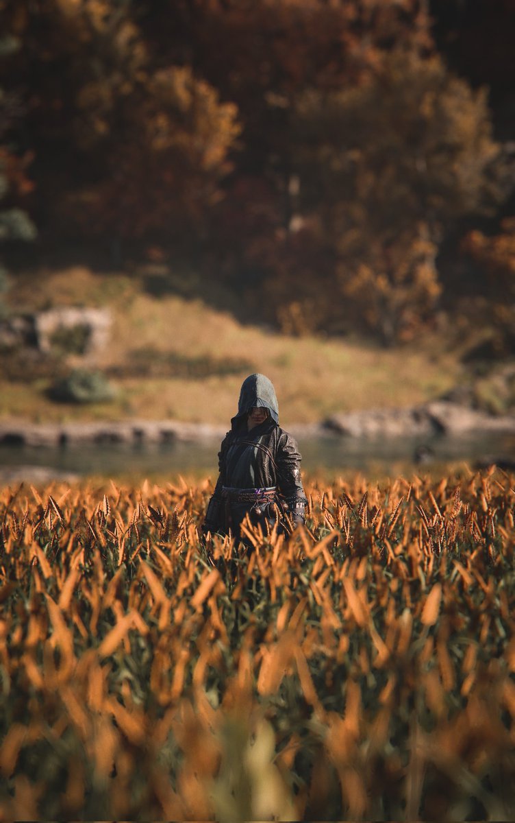 m1rko_vp's tweet photo. Assassin's Creed Shadows 

#AssassinsCreedShadows
#AssassinsCreed
#ACShadows
#ACPhotoMode

#VirtualPhotography #VGPUnite #VPRT #VPGamers #ArtisticofSociety https://t.co/LT8ibUjMTM