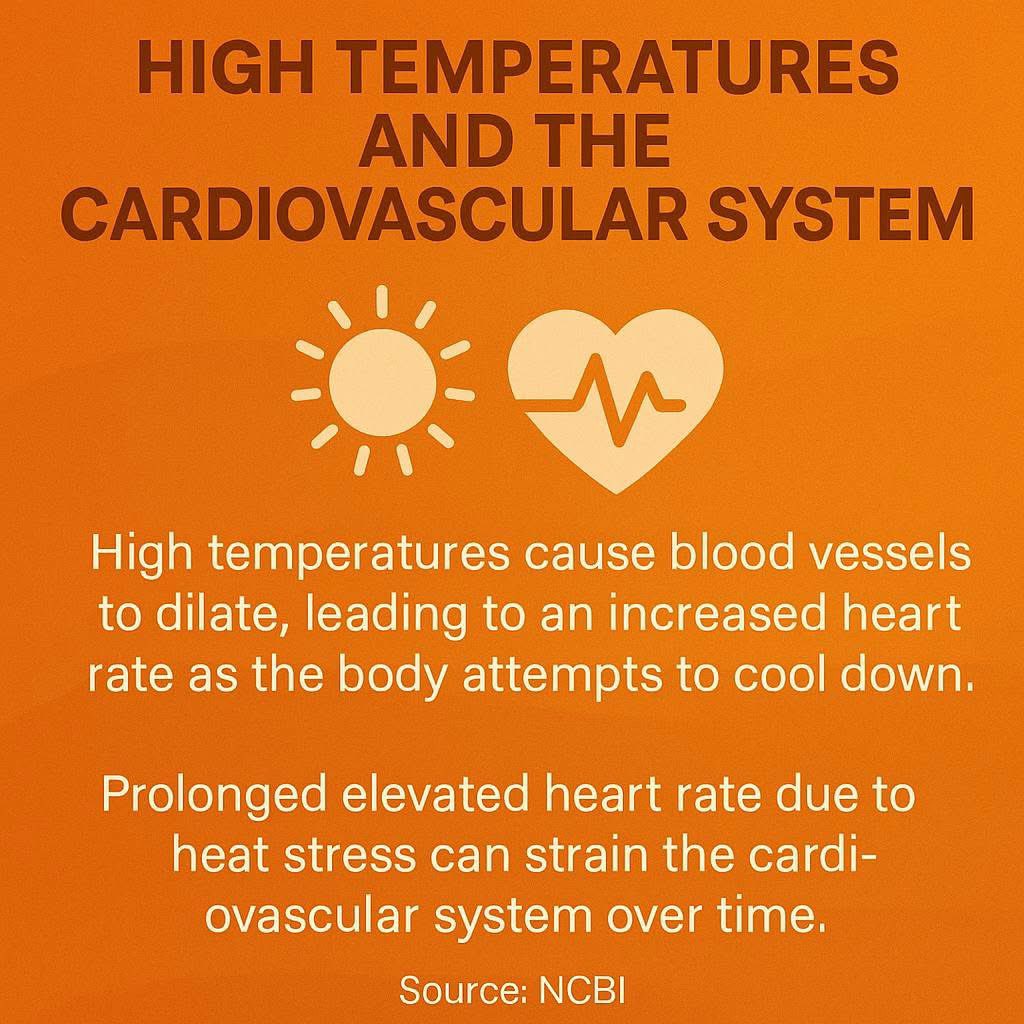 CherieMSmith1's tweet image. Florida’s Department of Corrections talks about “rehabilitation” — but you can’t heal in a cell hotter than hell. No A/C. No windows. No airflow. Just 2 men, sweat-soaked sheets, and silence. This is cruel and unusual punishment.#StopTheHeat #PrisonReformNow #Confinement