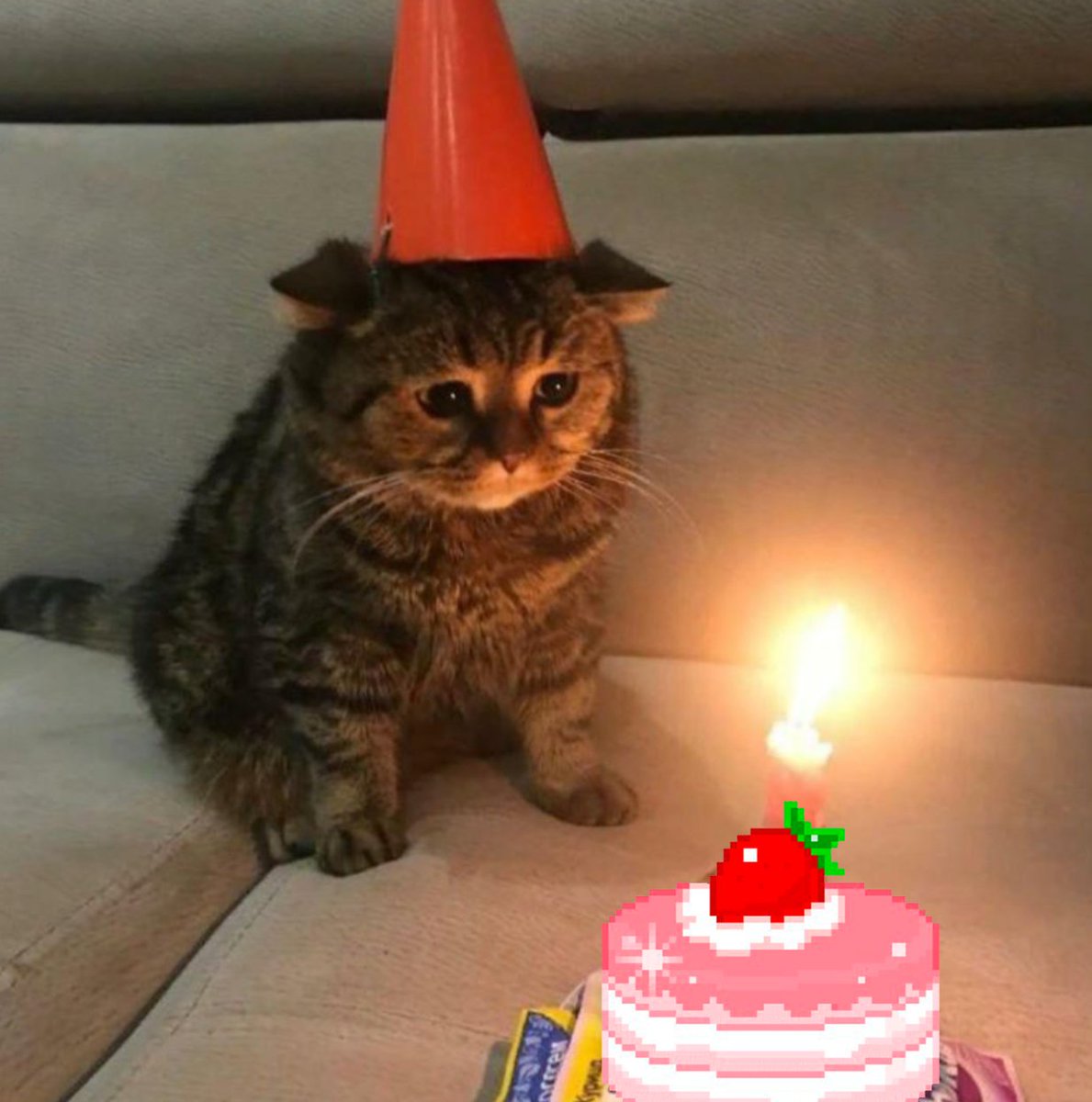 One of our co-founder’s birthday!

We airdropped him some good vibes 🍰