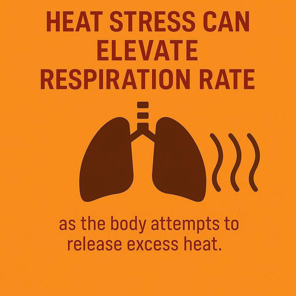 CherieMSmith1's tweet image. 💥 Locked up is one thing. Locked in a hot box with no window, no air, and barely drinkable water for 23 hours a day? That’s something else. This is Florida — not a third-world punishment camp. When do we start demanding change? #EndTheHeat #Confinement