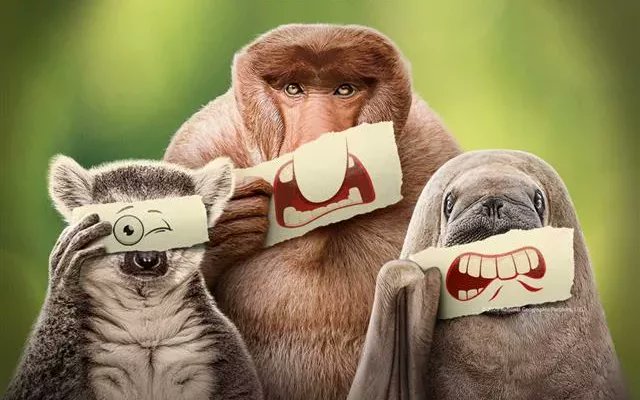 SteveMolk's tweet image. Ryan Reynolds narrates Underdogs, a nature series that trades lions for flatulent manatees and bioluminescent butt worms—streaming June 16 on Disney+.

Read More -&amp;gt; tvblackbox.com.au/page/2025/05/2…

#Disney #DisneyPlus #MaximumEffort #NationalGeographic #RyanReynolds #Underdogs #WIldstar
