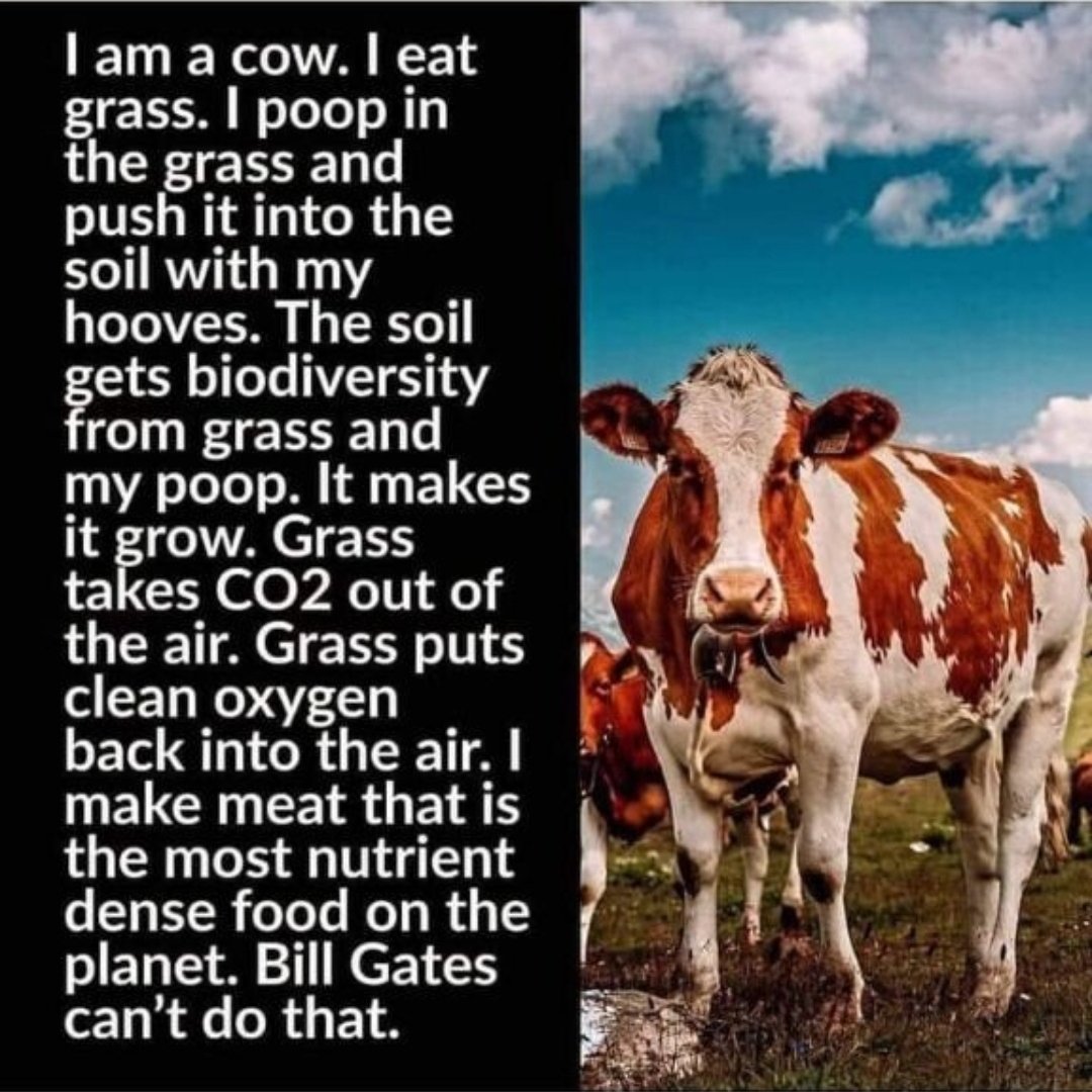 <a href="/catturd2/">Catturd ™</a>