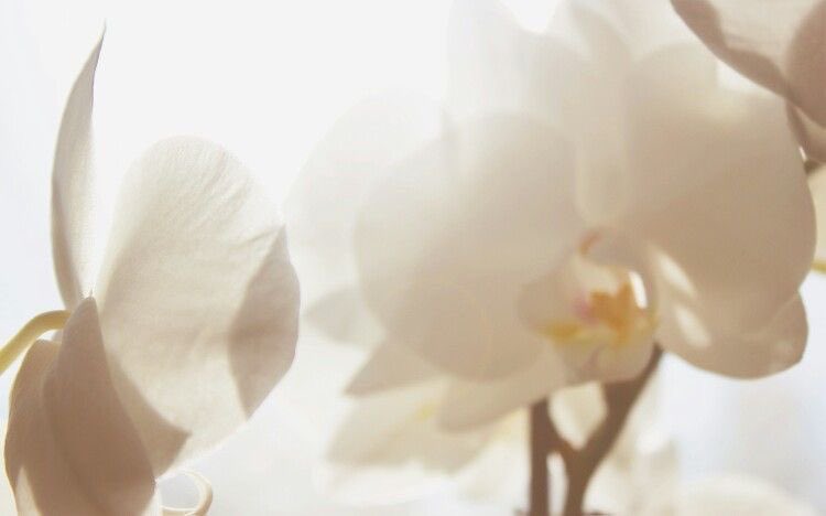 Rora 𝜗𝜚 tweet media