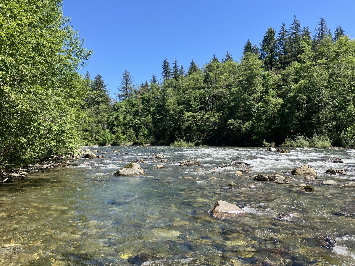 Ross McMeekin (@rossmcmeekin) on Twitter photo 