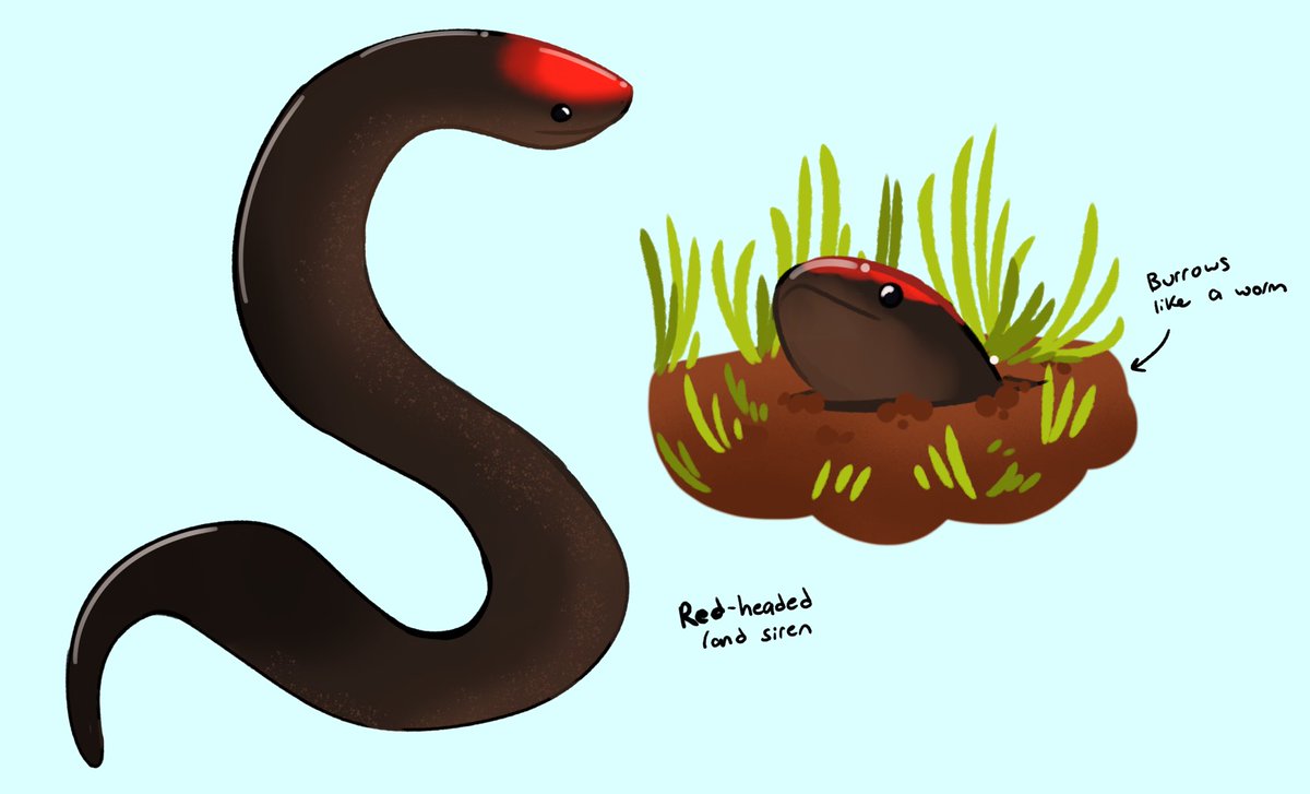 Willows Dream Animals Part 5

Idk what I was doing but I was outside and there were a bunch of these guys poking their heads out of the dirt
