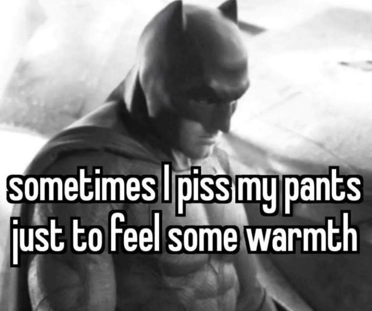 Robinxdd's tweet image. 