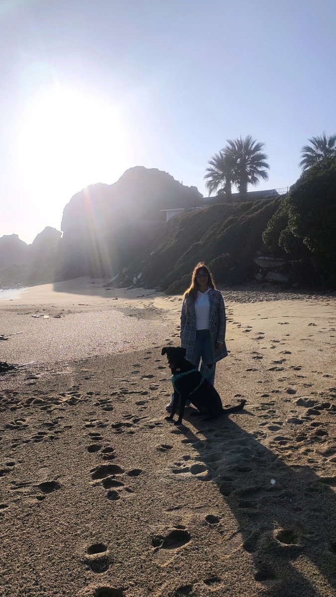 Flo_rencia__'s tweet photo. Hoy celebramos a los 🐶mestizos como mi Fito, mi cachorro de 1 año 8 meses. Gracias a la gente de @opapenablanca que lo recogió de la calle y le dió una nueva vida❤️🐾 adopten estan llenos de amor para dar❤️🐶#perromeztizo #opapeñablanca #ReyDeLaCasa #díadelquiltro #ᴅᴏɢʟᴏᴠᴇʀ https://t.co/hLl6lOjwTV