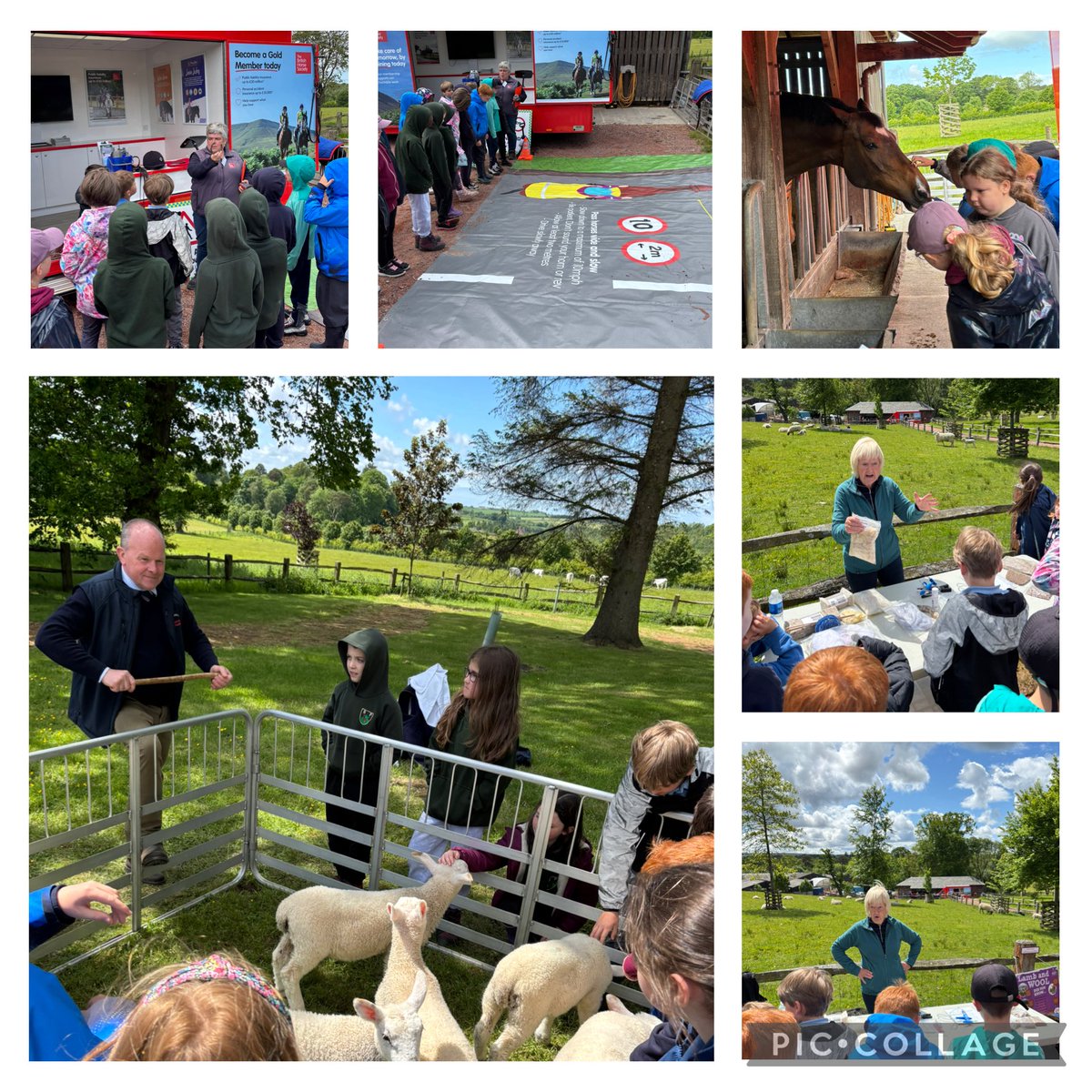 crosshill_ps's tweet image. Spring Festival of Farming! 
What a fantastic trip to Valentin’s Farm at Dumfries house. The King’s Foundation and RHET joined forces to teach us all about food and farming. We had a great day. 
#CrosshillClass2 #RHET
#KingsFoundation