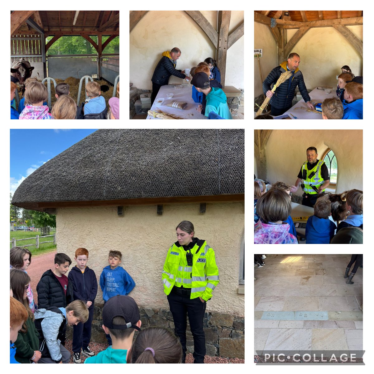 crosshill_ps's tweet image. Spring Festival of Farming! 
What a fantastic trip to Valentin’s Farm at Dumfries house. The King’s Foundation and RHET joined forces to teach us all about food and farming. We had a great day. 
#CrosshillClass2 #RHET
#KingsFoundation