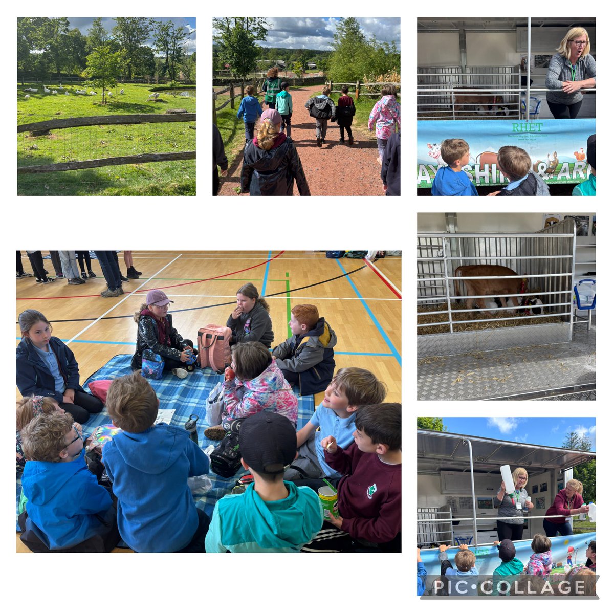 crosshill_ps's tweet image. Spring Festival of Farming! 
What a fantastic trip to Valentin’s Farm at Dumfries house. The King’s Foundation and RHET joined forces to teach us all about food and farming. We had a great day. 
#CrosshillClass2 #RHET
#KingsFoundation